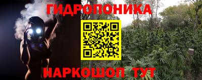 гидра Пенза