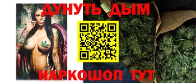 гидра Пенза